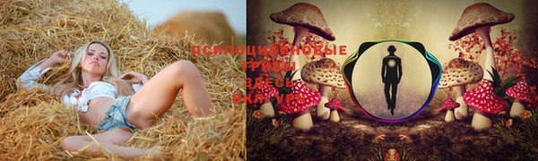 СК Балабаново