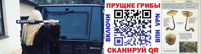 Купить закладки  Корсаков  Галлюциногенные грибы MAGIC MUSHROOMS 